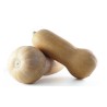 Courge Butternut GROS calibre BE
