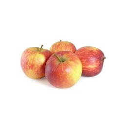 Pomme Jonagold de Temploux BE