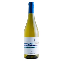 RUVIANO Verdicchio Di Jesi BLANC