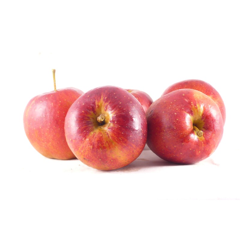 Pomme Rouge de Temploux BE