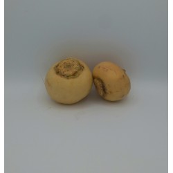 Navet Jaune TBE