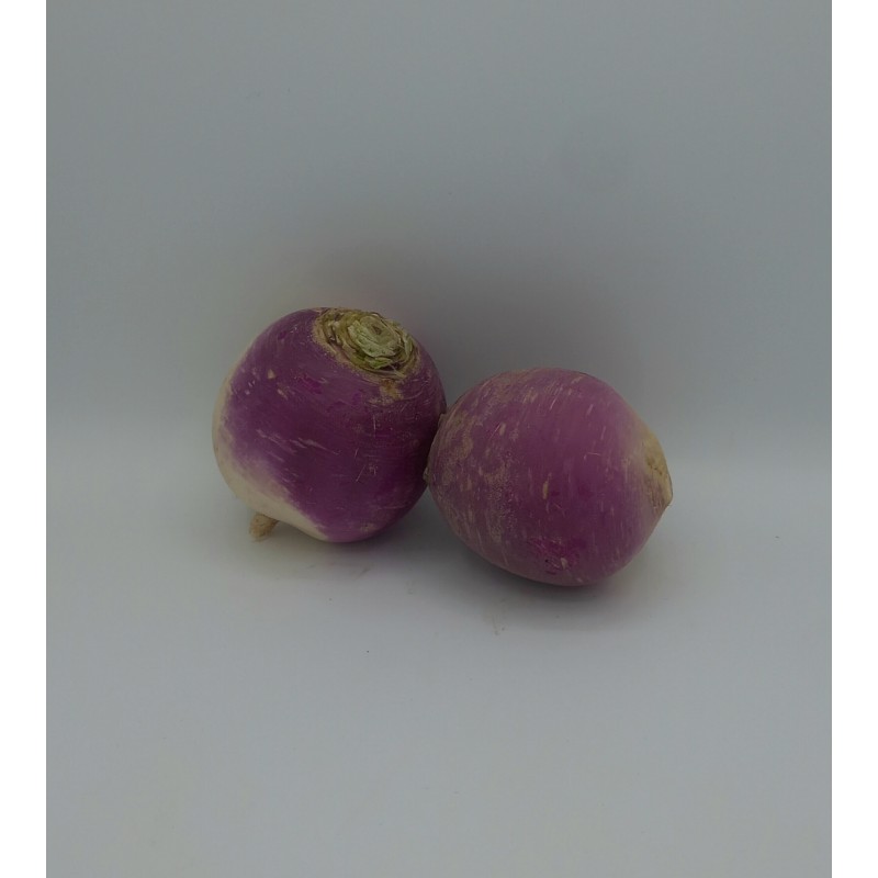 Navet Violet TBE