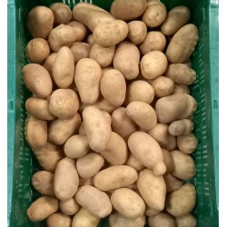 PDT Agila Grenaille BE