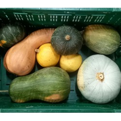 Courges mixte BE PROMO