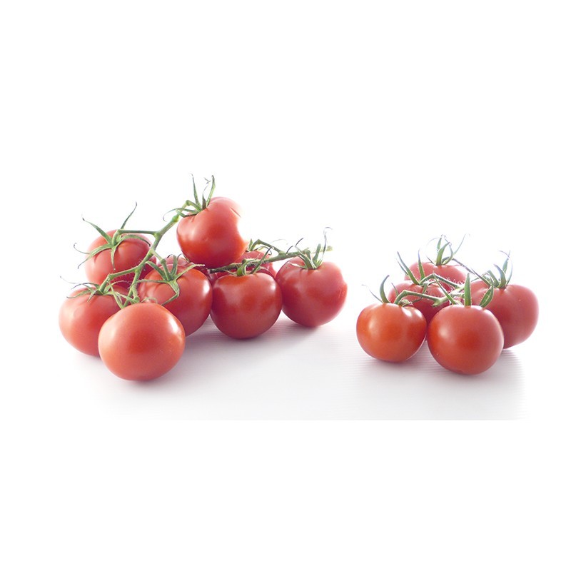 Tomate Cerise Grappe IT