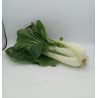 Chou Pakchoi 6pc NL