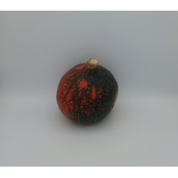 Potimarron bicolore orange/vert BE PROMO