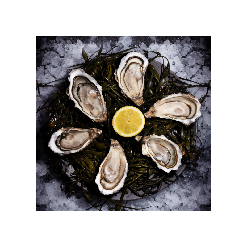 Huîtres Creuses Bio n°3 - 12pc