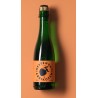 Kestemont Geuze Abricot 37,5cl