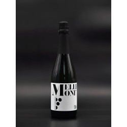 Bulles de MELLEMONT Extra Brut En conversion