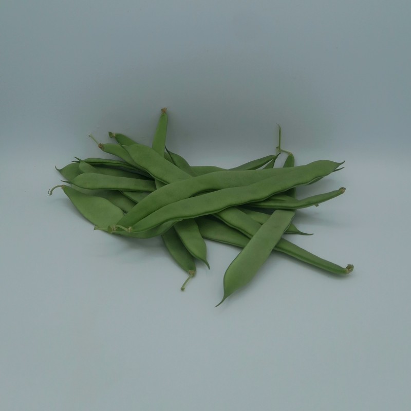 Haricot Vert Plat ES