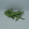 Haricot Vert Plat ES