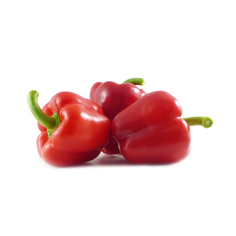 Poivron Rouge ES