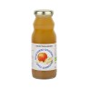 PAJOT. Jus de Pomme-Gingembre 20cl