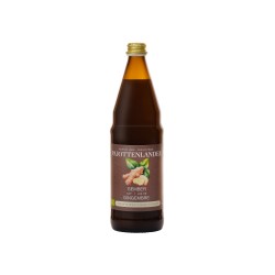 PAJOT. Kombucha lime et gingembre 75cl