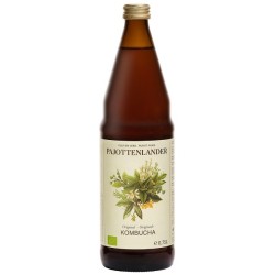 PAJOT. Kombucha Originale 75cl