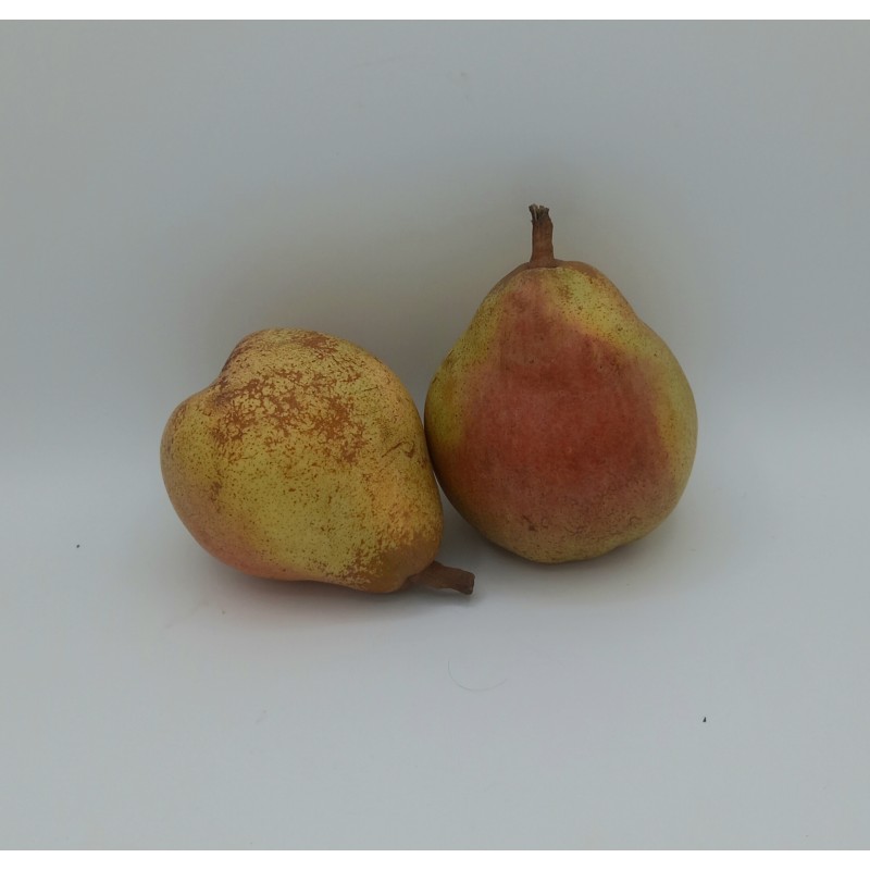 Poire Doyenné TBE