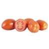 Tomate Roma IT