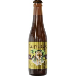 Bière Lupulus BRUNE 33cl