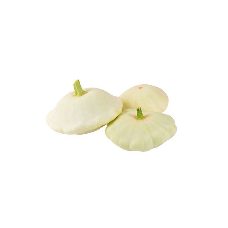 Courge Pâtisson blanc BE