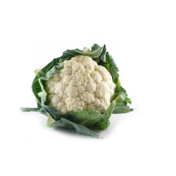 Chou-fleur 8pc ES
