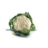 Chou-fleur 8pc ES