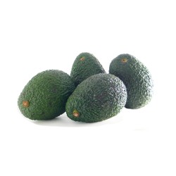 Avocat Hass cal.20-24 ES