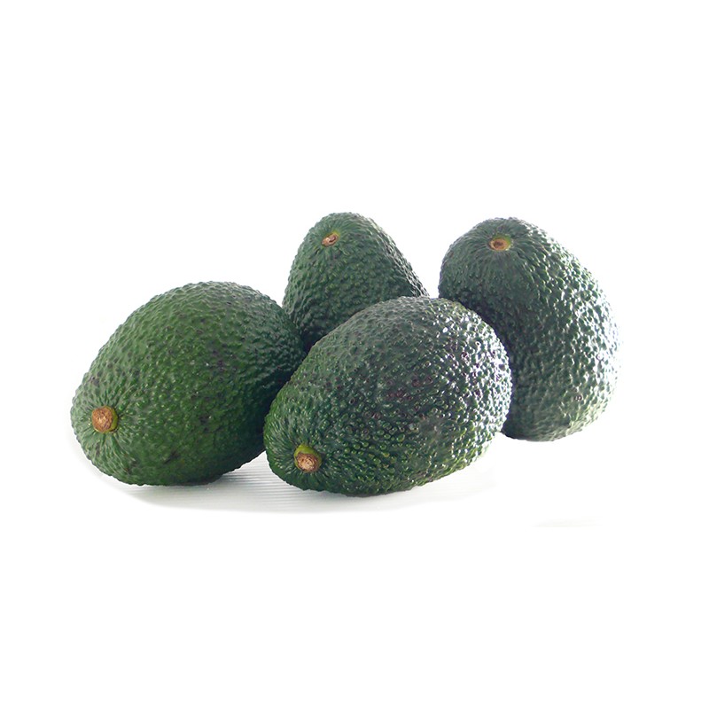 Avocat Hass cal.20-24 ES