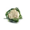 Chou-fleur 11pc FR LIMITE