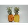Ananas Cayenne 6 pcs PAR AVION