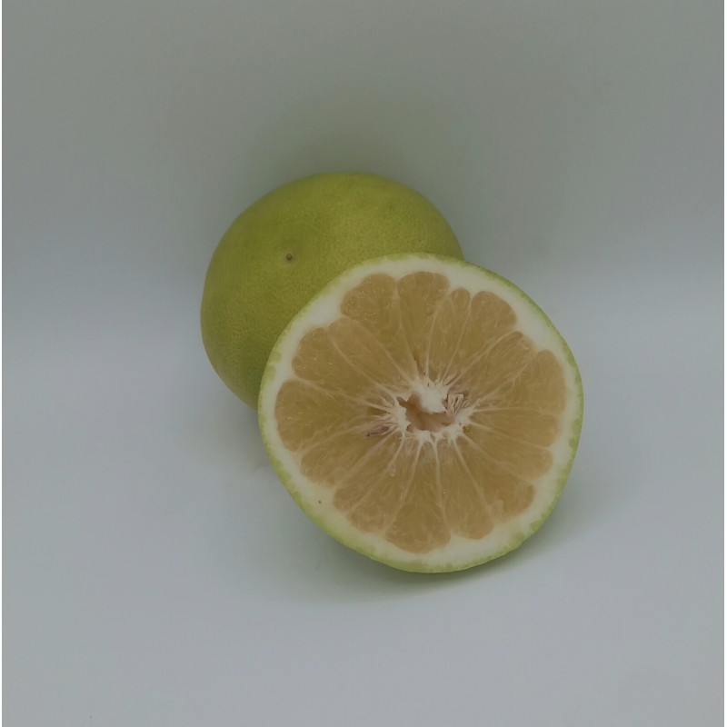 Sweetie Oroblanco