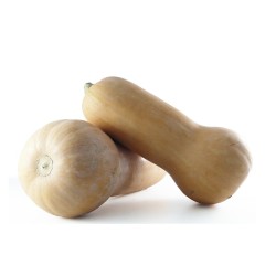 Courge butternut Petit Calibre BE