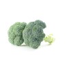 Brocoli ES