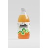 Kombucha  Citrus et Hop Bout. 33cl