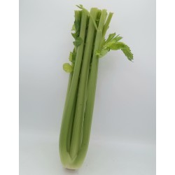 Céleri Vert Coupé 14pcs ES