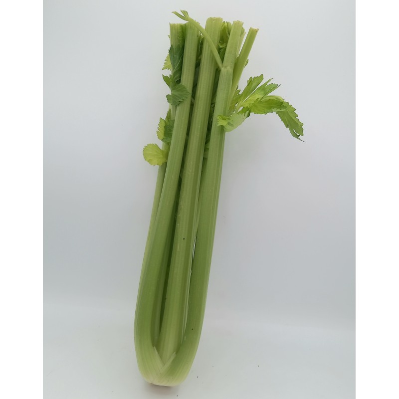 Céleri Vert Coupé 14pcs ES