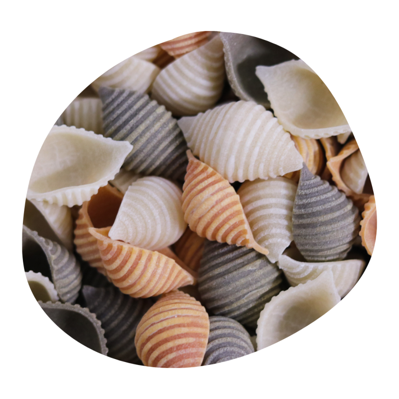 Pâte Coquillage Tricolore Tom-Basilic Carton 3kg