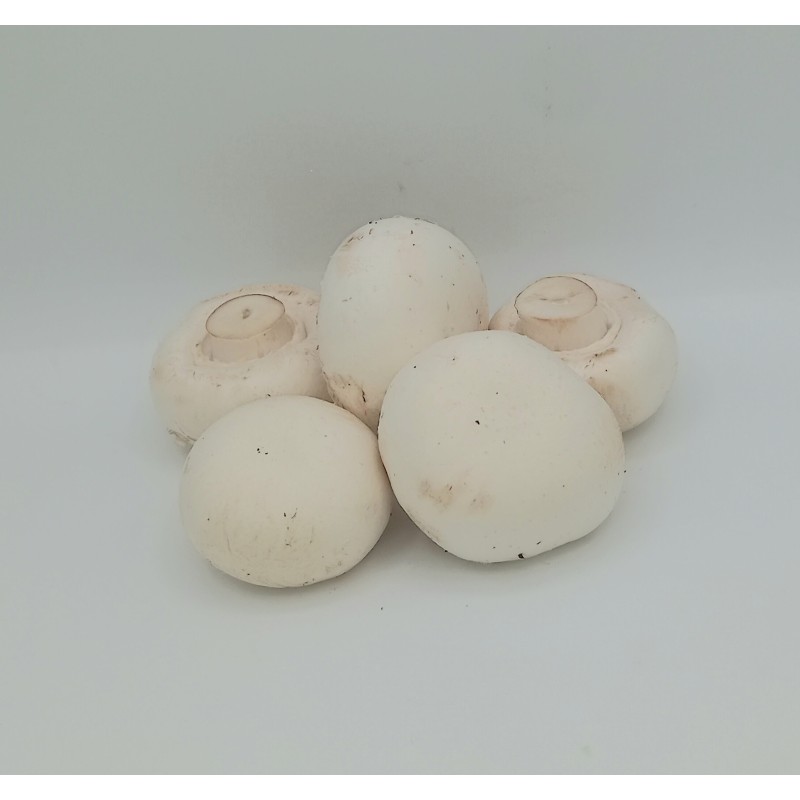 Champignon Blanc Vrac TBE
