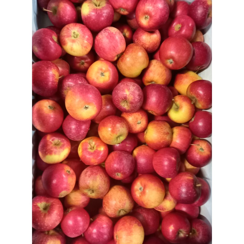 Pomme Natyra TBE