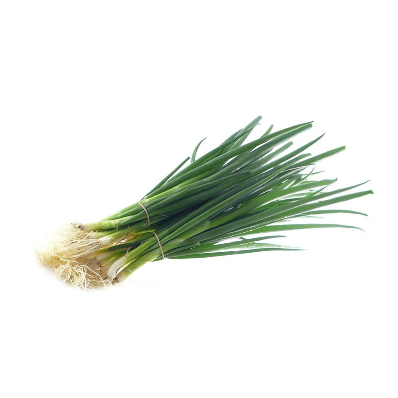 Oignon Ciboule FR