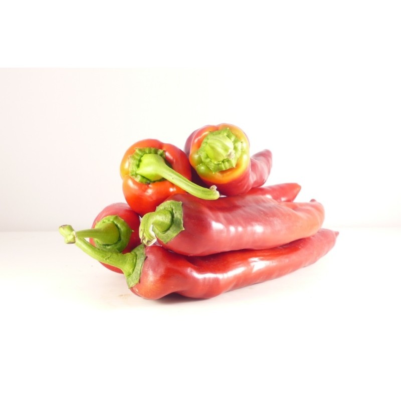 Poivron Ramiro Rouge IT