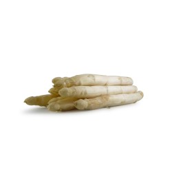 Asperge Blanche cal 16-22 FR