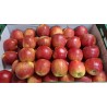 Pomme Jonagored BE