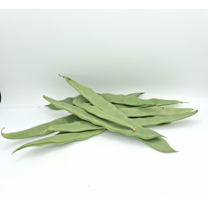 Haricot Vert Plat ES