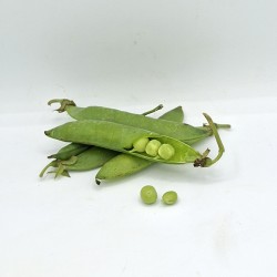 Petit Pois ES