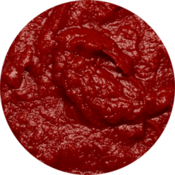 Concentré de tomate 28/30 bio 2x5kg en poche
