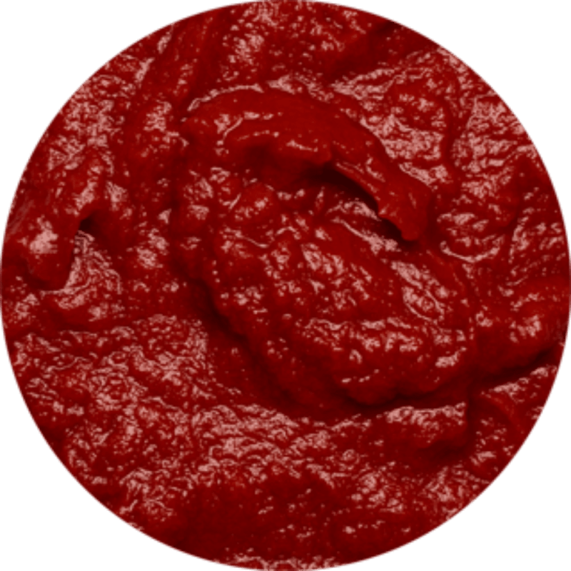 Concentré de tomate 28/30 bio 2x5kg en poche