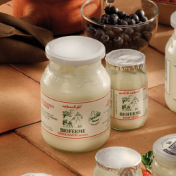 Yaourt Nature entier 500g