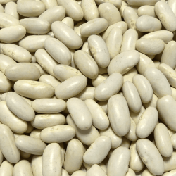 Haricots blancs Lingots Sac de 25kg