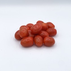 Tomate Cerise Allongée BE